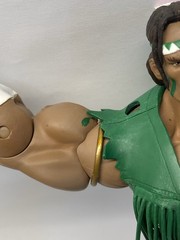 Capcom Sota Toys Street Fighter T. Hawk Figure Green Clothes Round 2 Wave 8″