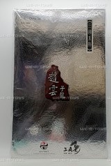The Three Kingdoms Zhao Yun (Sub Dragon) 1/6 Action Figure 303 Toys No 305 NEW