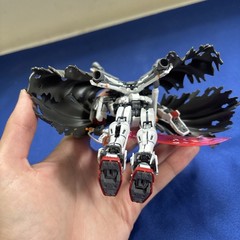 RG 1/144 Crossbone Gundam X1 Model Kit Crossbone Gundam BANDAI SPIRITS