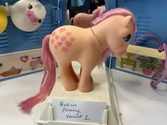 My Little Pony G1 Pretty Parlor Hasbro 1983 Vintage MLP Italian Peachy Italy