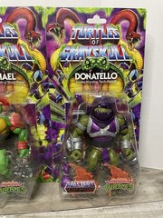 MOTU x TMNT Turtles Of Grayskull – Leonardo Raphael Donatello Michelangelo LOT