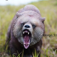 1/6 JXK Brown Bear Model Fierce Animal Soldier Collection GK Statue Toys Resin