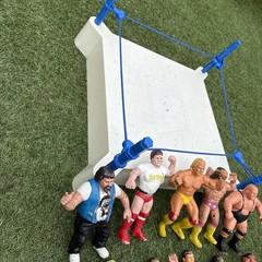 Lot Of 19- WWF TITAN SPORTS LJN COLLECTIBLE WRESTLERS 8 “ Plus RING