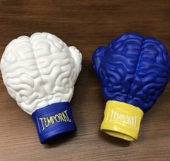Boxing Brain 4.75″ Art Figures : Warriors Edition Set (Ron English x Toyqube)
