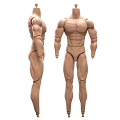 1/6 Scale BD003 Muscular Male Action Figure Body For 12″ Hot Toy Soldier Head Cj