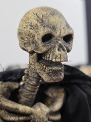 DAY2DAY The Grim Reaper 1/6 Skeleton Warrior each one is individually weathered