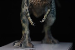 DINO DREAM 1/30 Giganotosaurus Figure Dinosaur Collections Animal Model Toy Gift