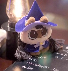 Moe Azukisan Magical Azukisan Siamese Cat 10cm/3.9in Confirmed Gift