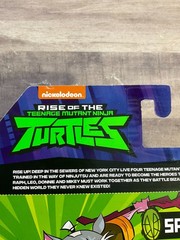Splinter the Chill Master 2018 Rise of the Teenage Mutant Ninja Turtles TMNT B1