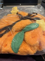 Pop Mart Pumpkin Why So Serious Blanket Labubu Rare and Limited Edition New