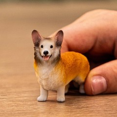 schleich 13999 Welsh Corgi, from 3 years FARM WORLD – Figurine, 2 x 5 x 4 cm