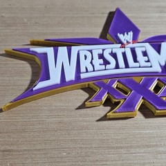 WWE Mattel WrestleMania 30 Logo Accessory