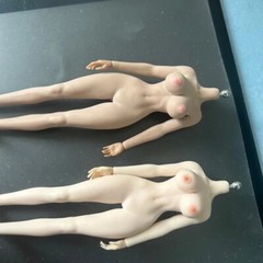 DIY 1/12 Female Nipple Breast Chest Vagina Patches Accessories For 6”Figure