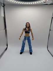 2020 WWE Elite Collection Royal Rumble Series 1 Lita, Missing Extra Head & Hands