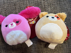 BFF PAIRS Squishmallows SAGER COOPER PUPPY DOGS Valentine’s Plush 6″