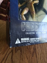 DC Direct Justice League Alex Ross Series 1 Cheetah Action Figure (Box Has Wear)
