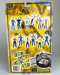 WWE Triple H Action Figure Jakks Pacific WrestleMania XX Champions Never opened