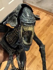 NECA Alien Deluxe Xenomorph Queen
