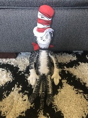 16” Dr Seuss CAT IN THE HAT Plush Determined Productions Random House Doll Toy