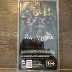 DC Collectibles Batman Arkham City Series 4 Talia Al Ghul Action Figure NIB 2013