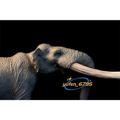TNG Huanghe Flumen Stegodon Model Elephant Animal Figure Toys Decor Xmas Gift