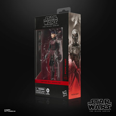 Star Wars The Black Series Rook Kast Maul Shadow Lord Premium Collectible
