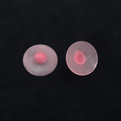 US 1/6 Female breast patch 1 pair Fit 12″ TB JIAO Seamless Figure Body Model Toy
