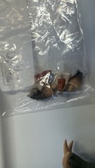Jurassic World Hammond Collection Dinosaur Figure Lot