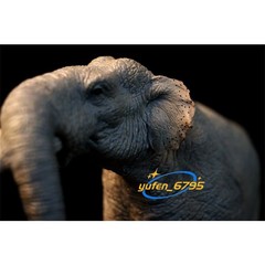 TNG Huanghe Flumen Stegodon Model Elephant Animal Figure Toys Decor Xmas Gift