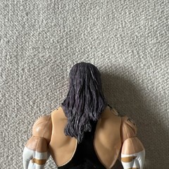 2005 WWE Jakks Pacific Jeff Hardy Deluxe Aggression Action Figure Series 21 WWF