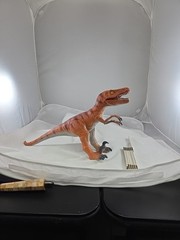 2014 Velociraptor 2204 G /polyester Material Indestructible, Flexible Lifelike.