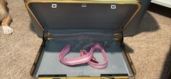 Tiffany Stratton Tiffy Time Money in the Bank briefcase replica from WWE shop