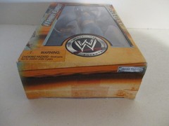Jakks Pacific WWE Main Event Exclusive Torris Wilson 2003 MISB