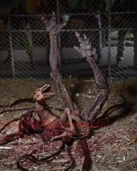 NECA 04905 Weird Variation Dog Accessory package 7 “Action Figure In Stock NEW