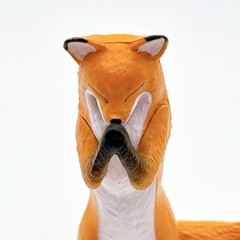 Fox Gasso Praying Animal Capsule Toy Mini Figure Not For Sale Japan Limited JP