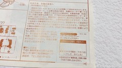 G Gundam Gundam Maxter 1994 Made in Japan Original Item Reference Material