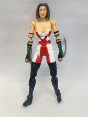 Shocker Toys Kabuki Assassin Figure Complete Maxx Series
