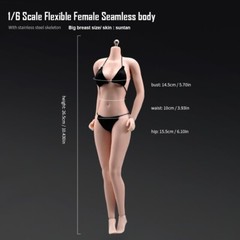 US 1:6 Pale Skin Large Bust Breast 12″ Female Seamless Flexible Figure Body Toys