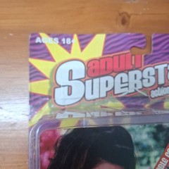 Jasmine St Claire Adult Superstar Action Figures Series 4 Plastic Fantasy Figure