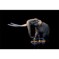 TNG Huanghe Flumen Stegodon Model Elephant Animal Figure Toys Decor Xmas Gift