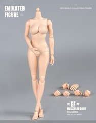 US STOCK 1:6 Large Breast Flexible Pale Body 12″ Female Action Figure Model Doll