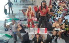 WWE Mattel 2025 Summer Slam Elite Wave BAF Regal,Reigns,Charlotte,Triple H & HBK