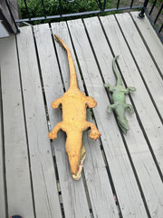 1 Large Realistic Lifelike Foam Alligator 44″ And 1 Soft Rubber Alligator 26″