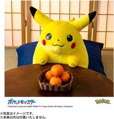 [NEW]Pokemon 30th Anniversary Welcome Back Pikachu Plush w/ Palm Sized Pikachu