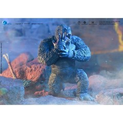 Kong Godzilla v. Kong The New Empire Hiya Toys Exquisite Basic Action Figure