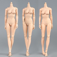 1/6 Female Pale Skin Mid Breast Chest Super Flexible Body For 12″Figure Doll