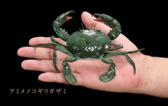 Bandai Premium Capsule Toy Creature Encyclopedia CRAB Figure Set of 4 Complete