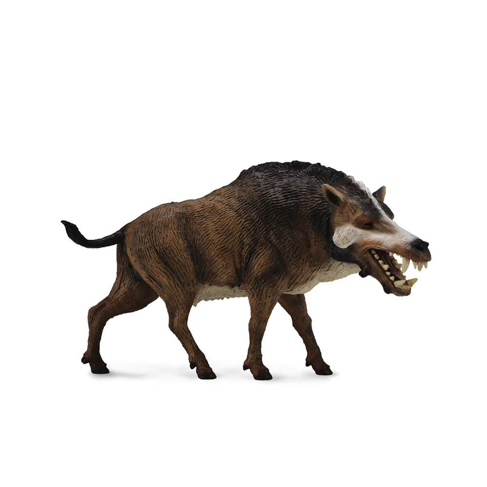 Collectible CollectA Daeodon Deluxe Action Figure for Ages 3 Years and Up