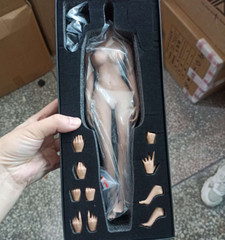 1:6 Flexible Pale Skin Medium Breast Female Makeup Figure With details Body Toy