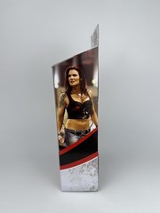 WWE Elite Lita Royal Rumble Mattel Wrestling Figure Exclusive 2006 Flashback